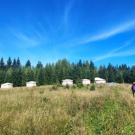 Eco Glamping - Carpathians. Retreat Hub Dzin Space Verkhovyna Eksteriør billede