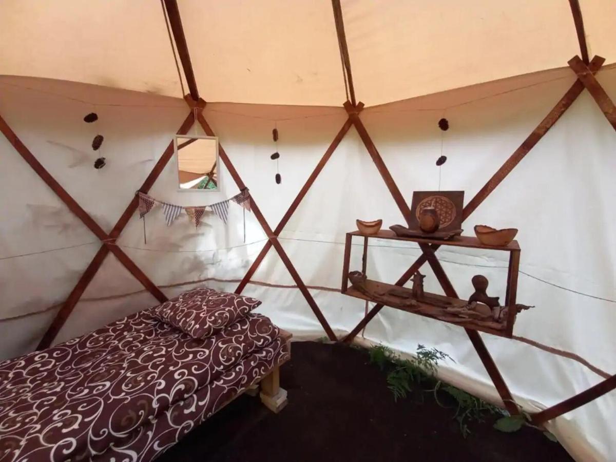 Eco Glamping - Carpathians. Retreat Hub Dzin Space Verkhovyna Eksteriør billede