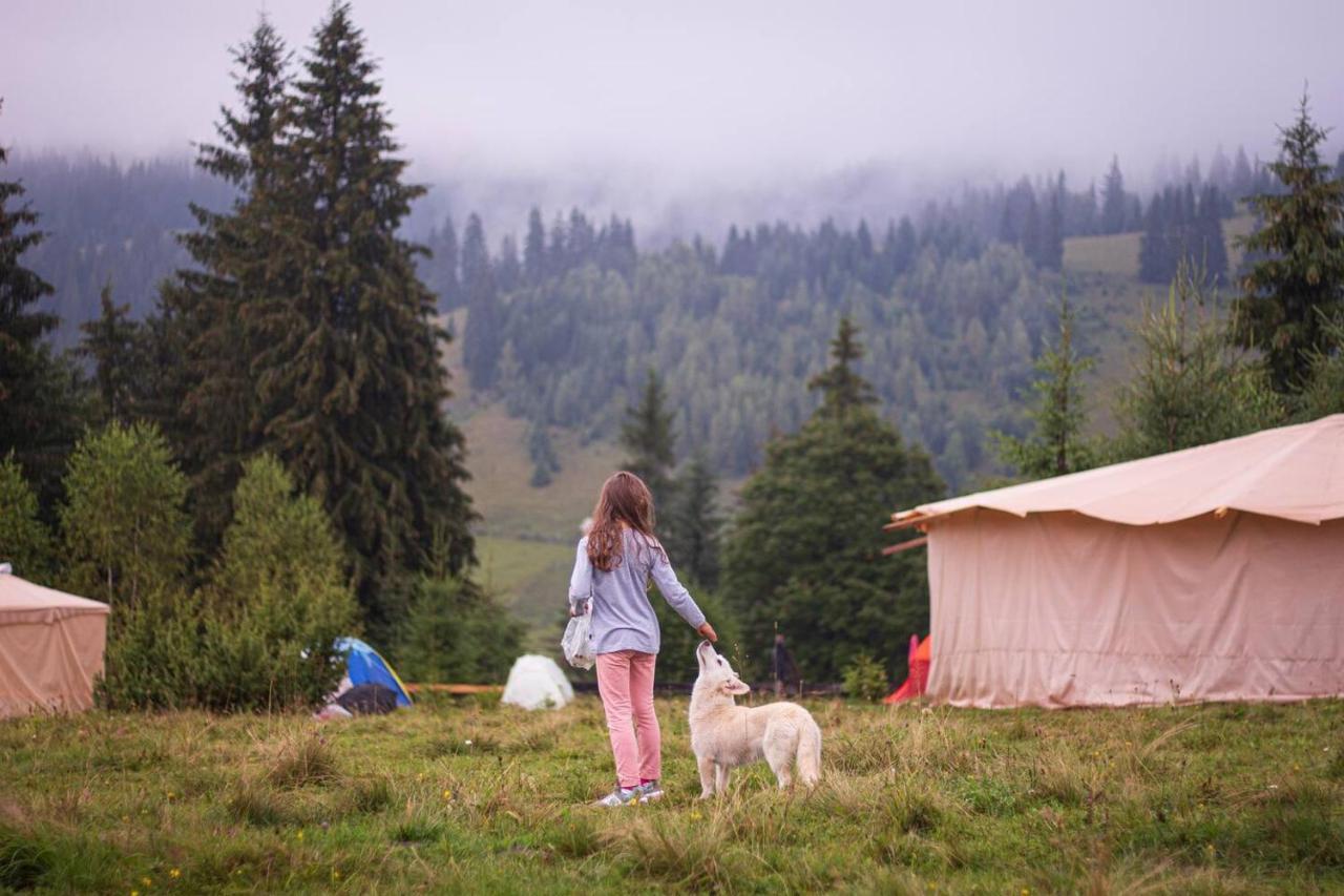 Eco Glamping - Carpathians. Retreat Hub Dzin Space Verkhovyna Eksteriør billede