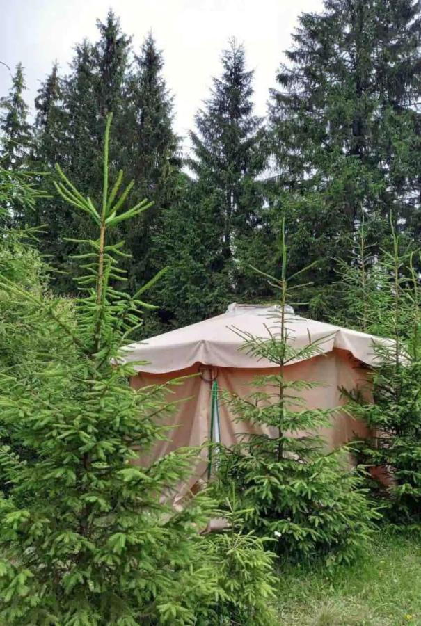 Eco Glamping - Carpathians. Retreat Hub Dzin Space Verkhovyna Eksteriør billede