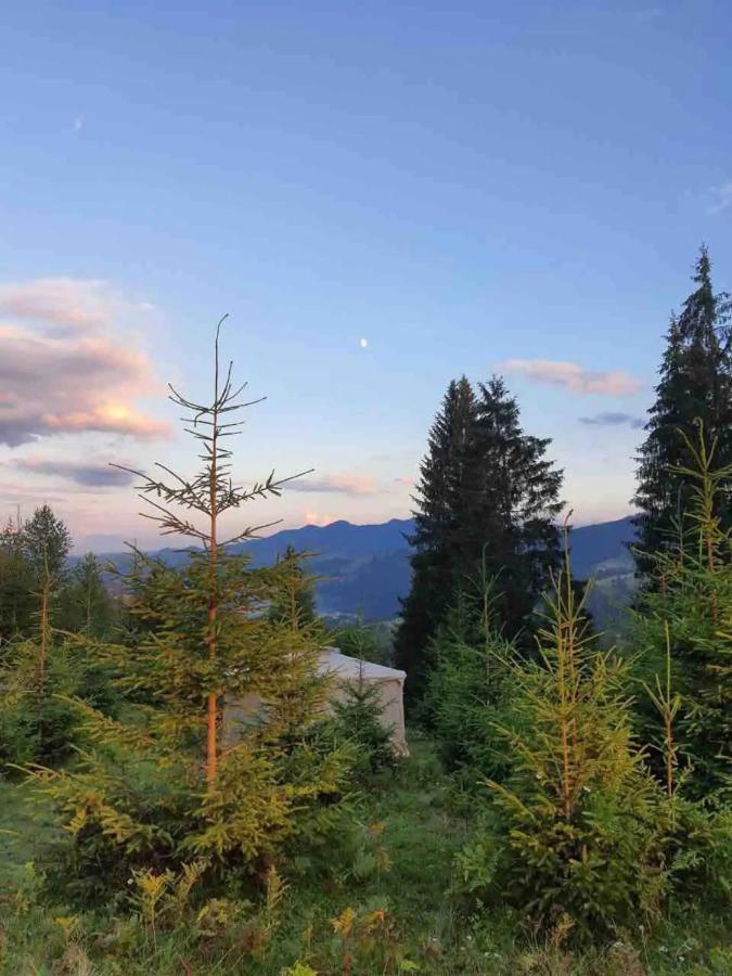 Eco Glamping - Carpathians. Retreat Hub Dzin Space Verkhovyna Eksteriør billede