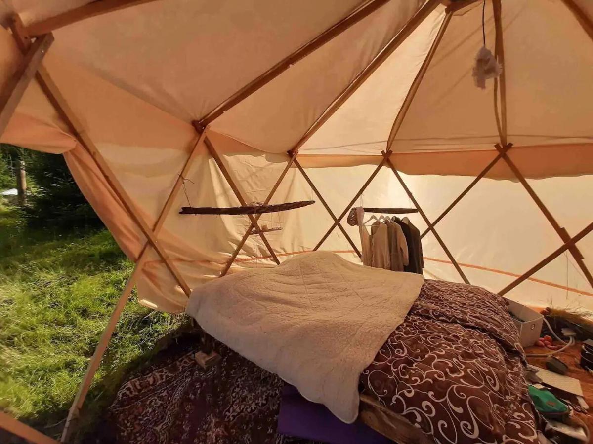 Eco Glamping - Carpathians. Retreat Hub Dzin Space Verkhovyna Eksteriør billede